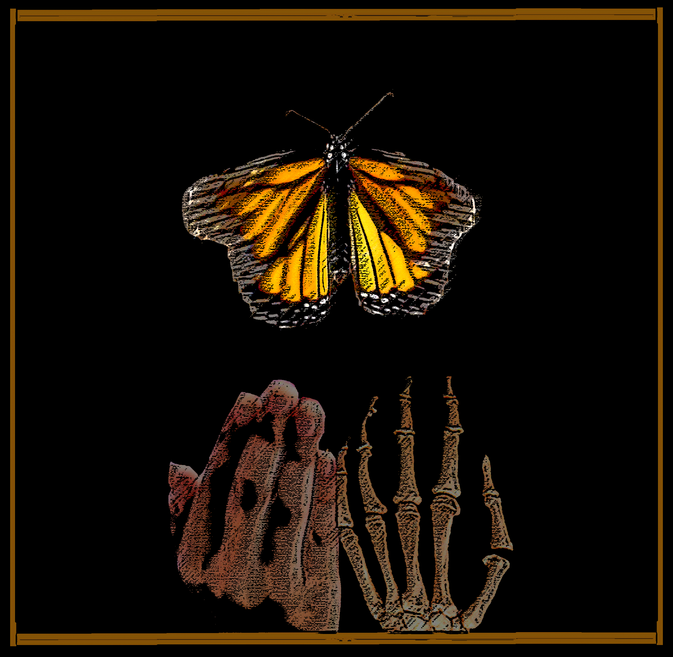 small-monarch-adv.gif