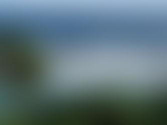 Volcano devastates Tonga