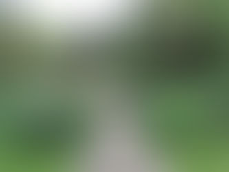 A May Visit to English Gardens