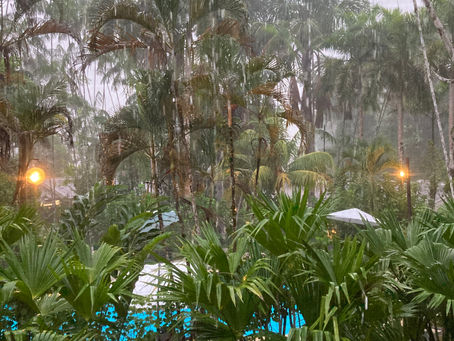 Adventures in the Peruvian Amazon