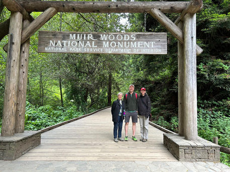 Giants of the Forest