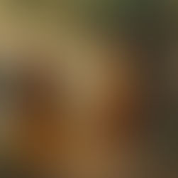 ಚಿತ್ರಕೂಟದೆಡೆಗೆ ಪ್ರಯಾಣ (ರಾಮಾಯಣ ಕಥಾಮಾಲೆ 38)