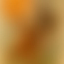 ಭಕ್ತ ಅಂಬರೀಶ