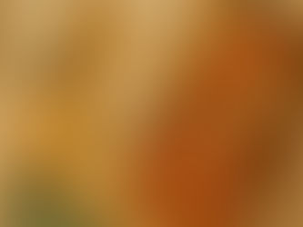 The Divine Origins of Vishala – The City of Tapasya and Transformation