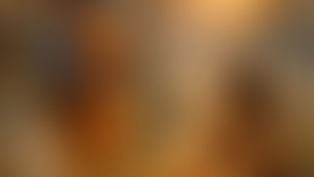 The Forest Exile of Sri Rama (Ramayana Series 32)