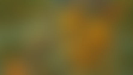 Gajendra Moksha – The Glory of Complete Surrender