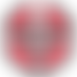 Caddo Constitution Project