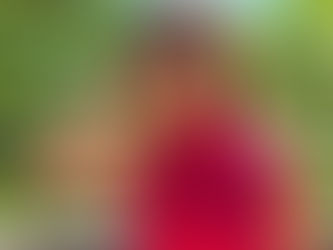 As partes que faltavam