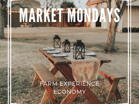 Market Mondays: The Farm Experience Economy