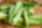 AdobeStock_46351405.jpeg