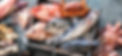 AdobeStock_456376685.jpg