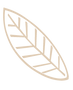 Feuille beige.png