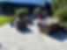IMG_2984.jpeg