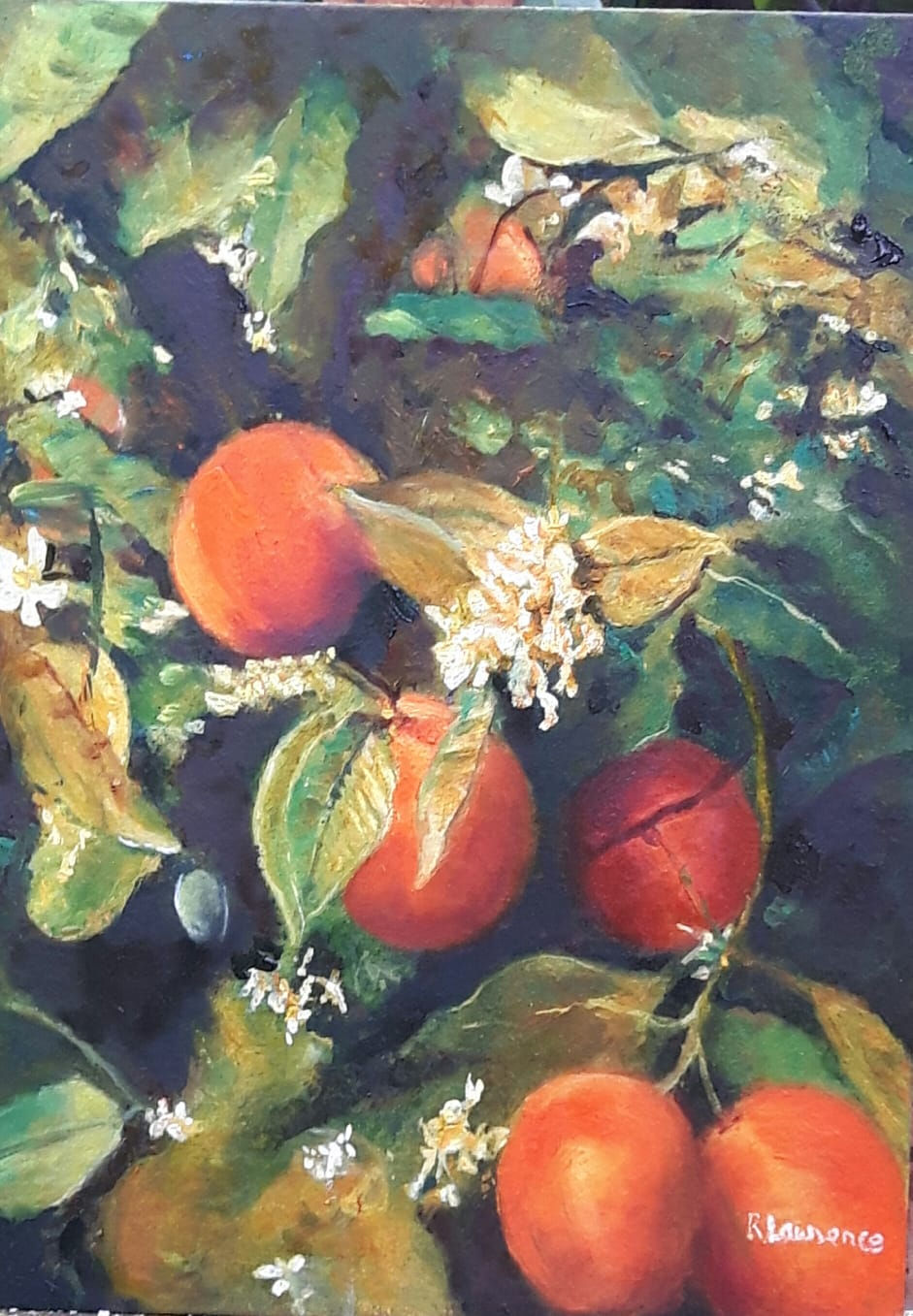 17f570bb-41fd-468e-8069-cb9155a6c8be