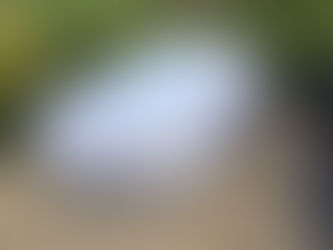 Protect Your Classic All Year Round with Our Ultimate Waterproof Outdoor Car Covers