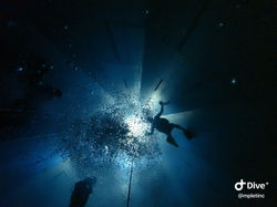 2024-04 Nemo33_013