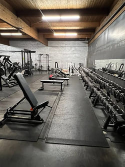 Dumbbell and Utility Benches