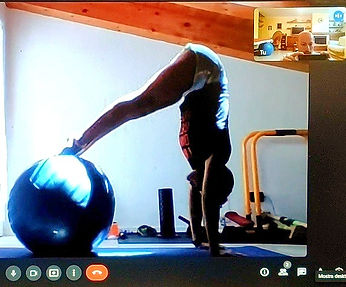 veneto fitball handstand