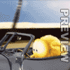 Sweety___Cruising.gif