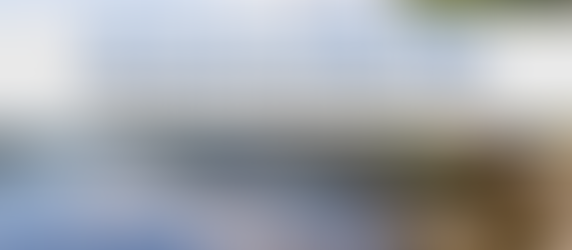 April 22, 2023: Spring Nature Photography Boat Tour | Field Trip