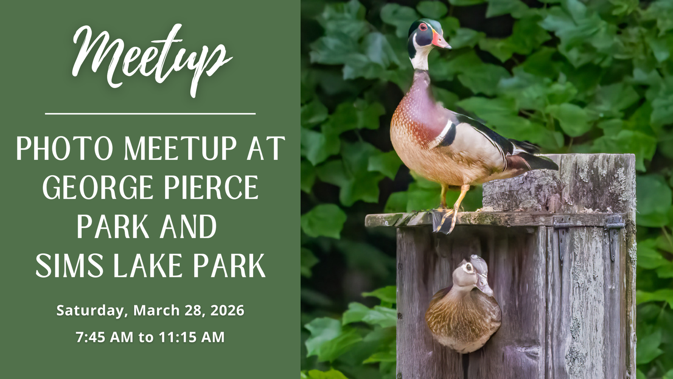 Meetup Parks March 28, 2026: Photo Meetup at George Pierce Park and Sims Lake Park ...