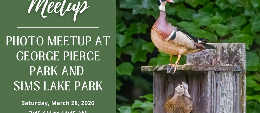 March 28, 2026: Photo Meetup at George Pierce Park and Sims Lake Park | Meetup