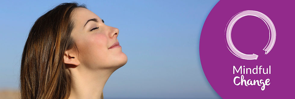 Banner individual MFC.jpg
