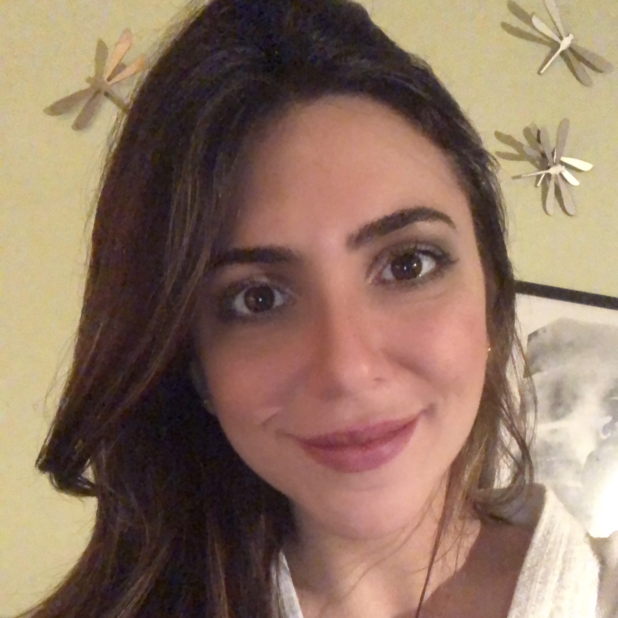 Writer: Laís Bravo Serra