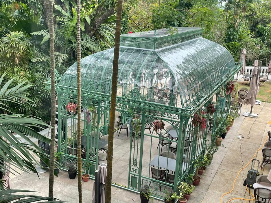 Canopy 3.jpeg