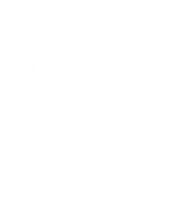 flames.png