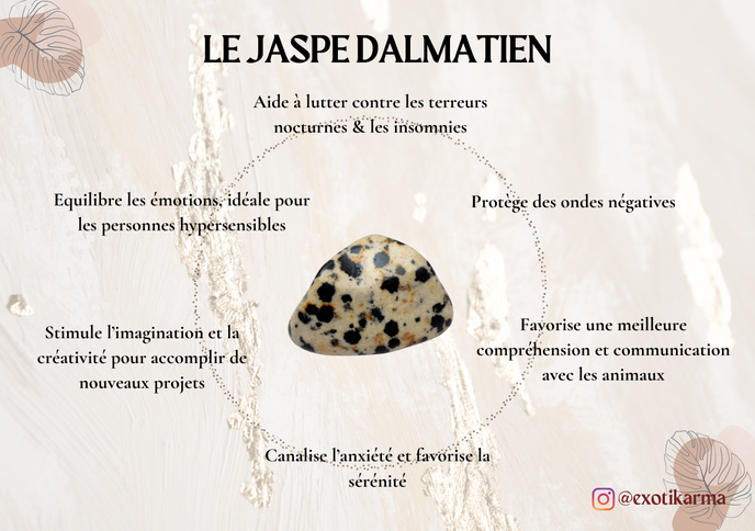 carte lithothérapie expliquant les vertus du Jaspe Dalmatien ainsi que les méthodes de purification et de rechargement de cette pierre