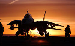 Grumman F-14 Tomcat_6