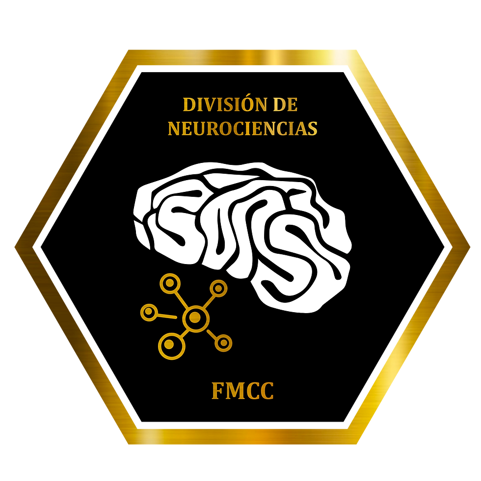 División en neurociencias