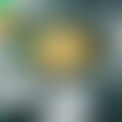 La Delincuencia Internacional podría haber encontrado su Nuevo Paraíso