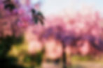 1BI1s%252BtIS2i2Qngz3h4GRw_thumb_4acb_edited_edited.jpg