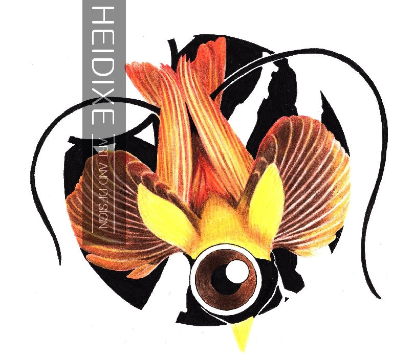 Raggiana Bird-of-Paradise