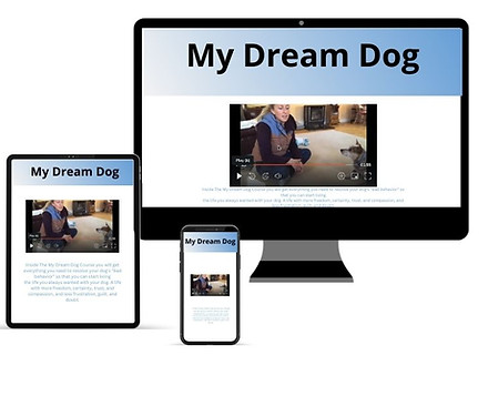 My Dream Dog.jpg