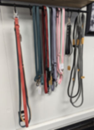 Leashes