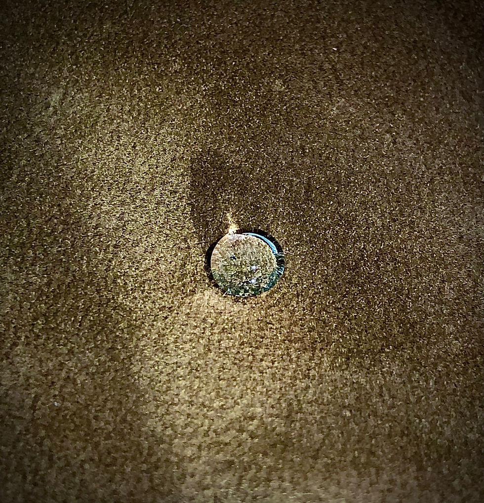 Washable leather finished by Tirrena, a tanning company from Lonigo in the province of Vicenza, Ital