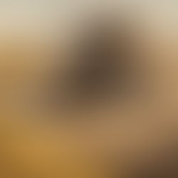 NIGER - Affaire ORANO : Quand la France crie au « vol en bande organisée » après un siècle de pillage légal