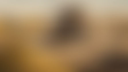 NIGER - Affaire ORANO : Quand la France crie au « vol en bande organisée » après un siècle de pillage légal