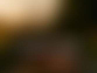 Carpediem, 20 de outubro - Aprender a soltar