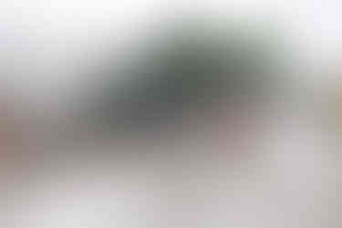 如何應付空間不足和突如其來的風雨?清潔工友都各施各法。