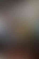 手持四斤多的大鑊炒菜,力道需均勻,火候必須恰到好處