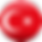 Certified Turkish translation