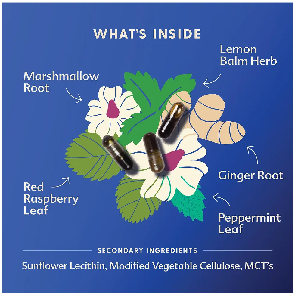 Thumbnail: Morning Sickness Blend | Motherlove Herbal Company