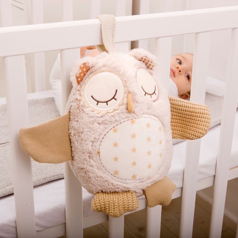 Thumbnail: Nighty Night Owl with Smart Sensor