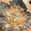 Thumbnail: Black, Amber and White Leaf Tray