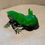Thumbnail: axolotl
