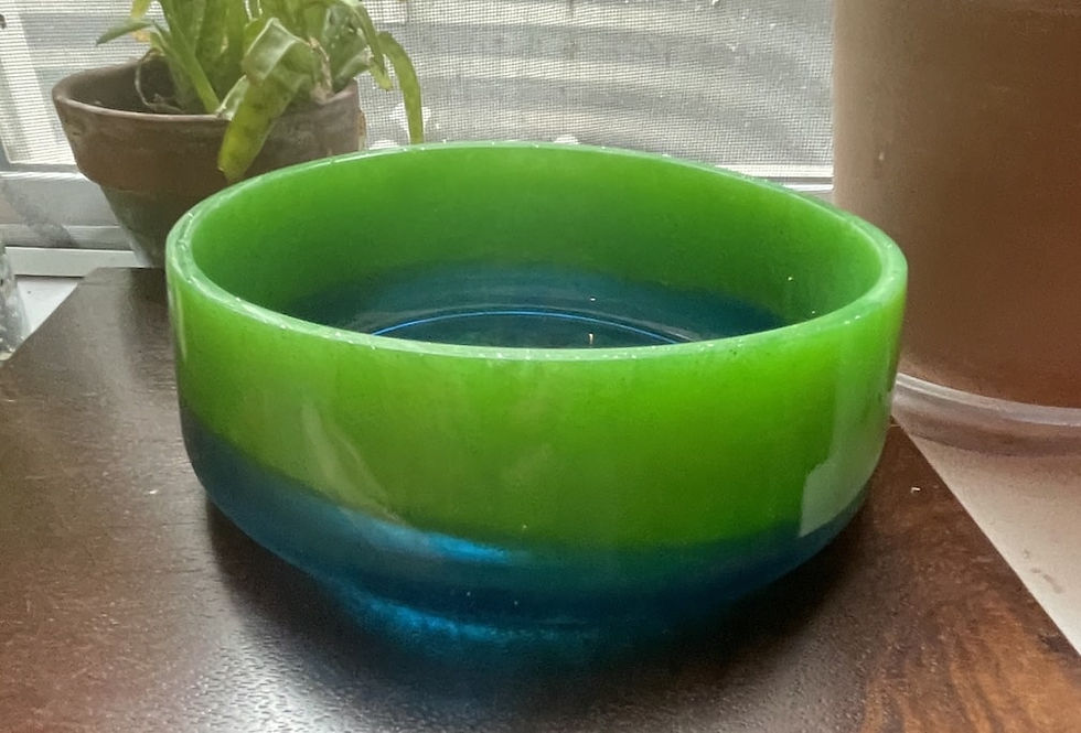 green blue pet food bowl